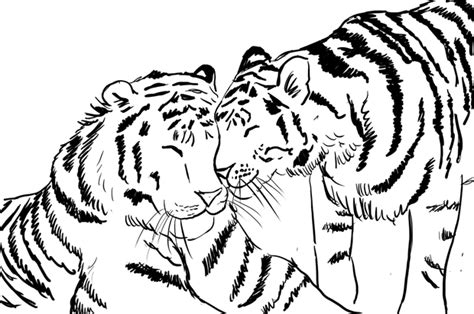 Tiger and Cub Coloring Page | Art Starts