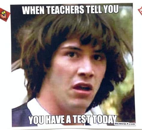 40 Funny School Memes For Students - SayingImages.com