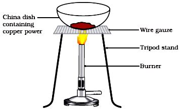 1. What is the type of the chemical reaction in the above experiment ...