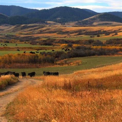 Where to Go for Fall Colors in Montana | Recommended By Montanans