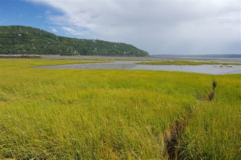 Nature Conservancy of Canada Protects Iconic Baie-Saint-Paul Site With Age of Union Support ...