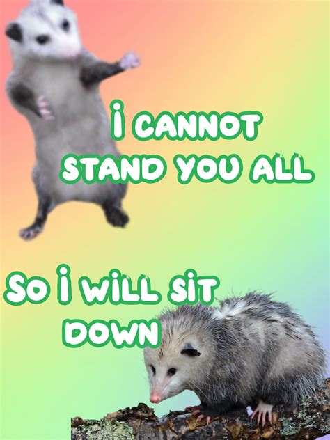 I made this in under two minutes | Opossum, Awesome possum, Possum