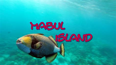 Mabul Island - Diving, Snorkeling, and aggressive Triggerfish - YouTube