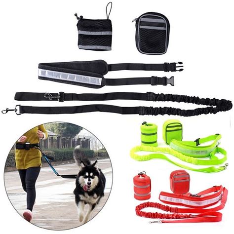 Pet Sports Accessories For Walking and Running | Sporting dogs, Dog ...