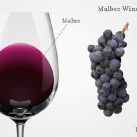 Learn the Difference: Argentinian Malbec vs. French Malbec | Wine Folly