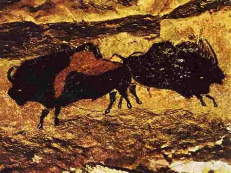 Lascaux Cave Art-Bison | Lascaux cave paintings, Cave paintings, Cave drawings