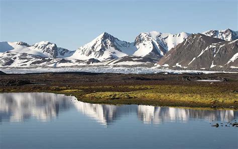 Introducción a la ecología: Biomas terrestres: la tundra