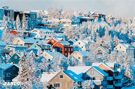 Spend Christmas In Tromsø - Norway’s Christmas City - PandoTrip.com