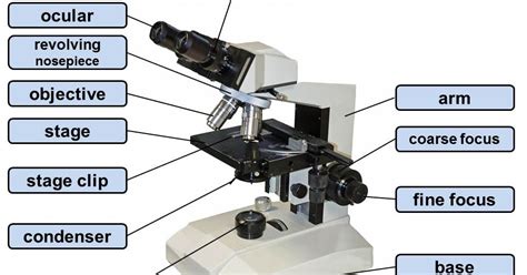 Microscopy-Pictures: Parts and components of a light microscope