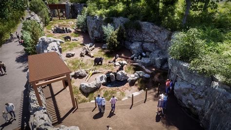 Three new Cincinnati Zoo habitats to house black bears, sea otters – WHIO TV 7 and WHIO Radio