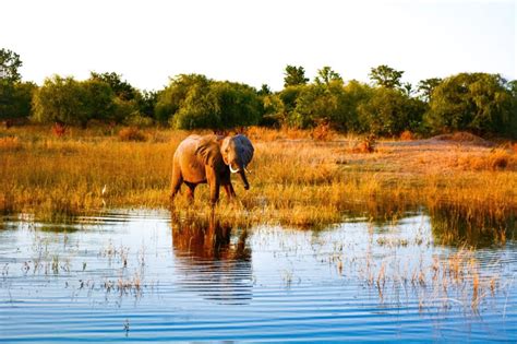 Ultimate Guide to Zimbabwe – Live Fun Travel