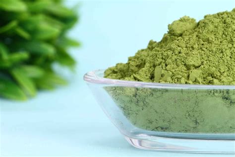 Organic Matcha Powder Supplier | Manufacturer — Laybio