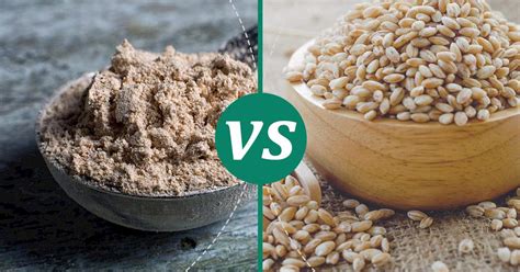 Barley vs Barley Malt Flour: Health Insights