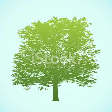 Big Tree Silhouette Stock Photo | Royalty-Free | FreeImages