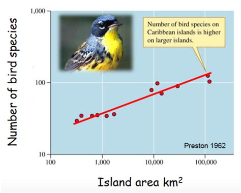 🏷️ Island biogeography examples. Island Biogeography in the Era of Humans. 2022-11-02