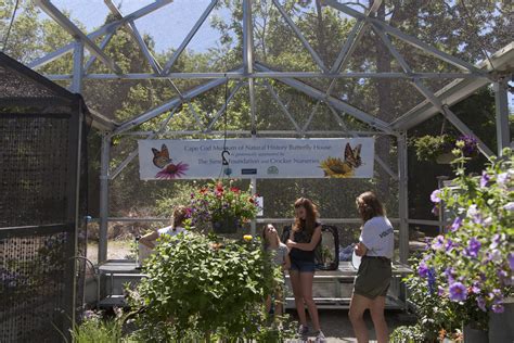 At the Butterfly House: The Fascinating Life of a Monarch Butterfly - CapeCod.com