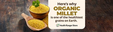 Here’s why Organic Millet is one of the healthiest grains on Earth – Health Ranger Store