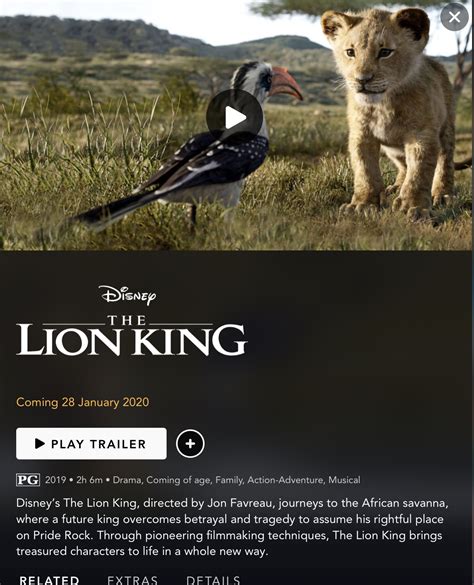 “The Lion King” Disney+ Release Date Announced – What's On Disney Plus