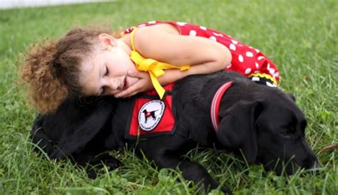 20 Dog Breeds Perfect for Autistic Children