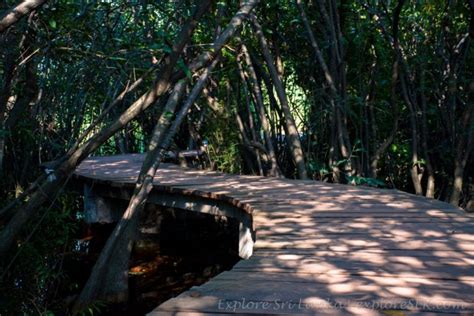 Beddagana Wetland Park - A Hidden Beauty in Colombo | Explore Sri Lanka