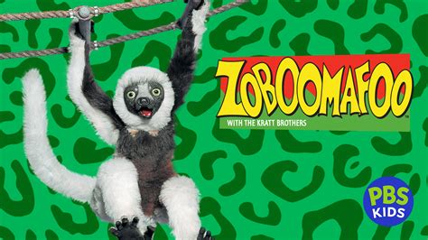 Zoboomafoo Cast Meme Blank By Cat Lion Zoom By, 51% OFF