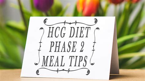 HCG Diet Phase 2 Meal Tips - HCG24.com