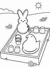 Kids N Funcom  Coloring Page Peeps sandbox sketch template