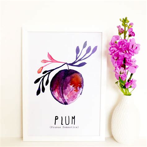 watercolour plum art print by studio noodles | notonthehighstreet.com