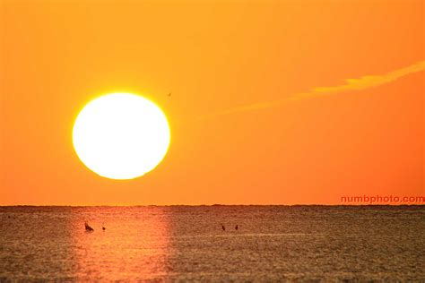 Florida Sunsets on Behance