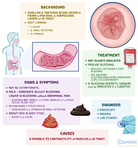 Angiodysplasia: What Is It, Causes, Symptoms | Osmosis