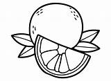 Printable Grapefruit Coloring Page  Free Pages sketch template
