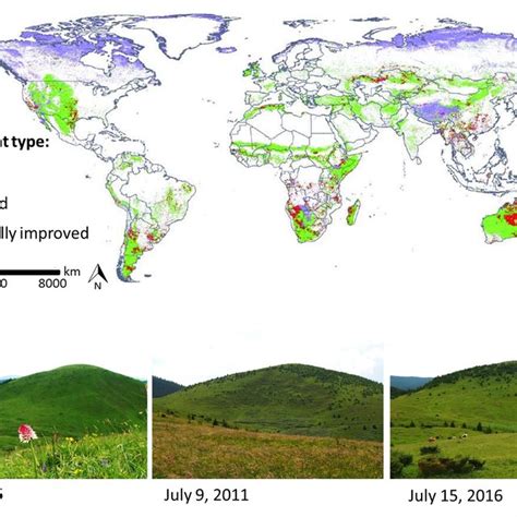 Grassland biodiversity | Request PDF