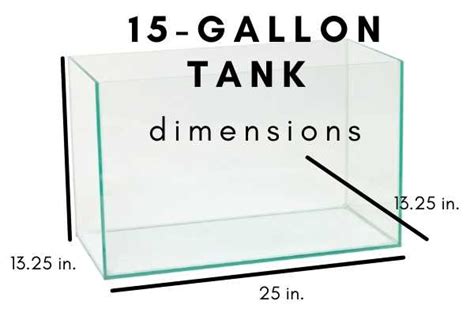 40 Gallon Tank Dimensions | Bruin Blog