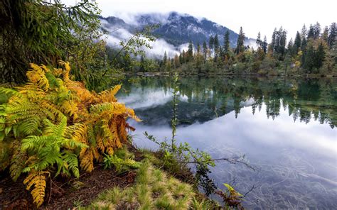 Nature Mountain Forest Landscape Fog Lake Ultrahd 4k Widescreen HD ...