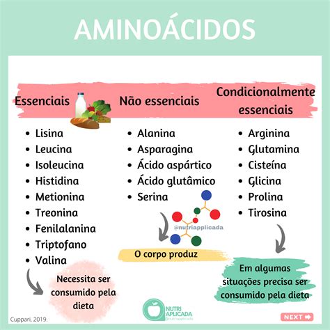 Mapa Mental De Aminoácidos - EDUKITA