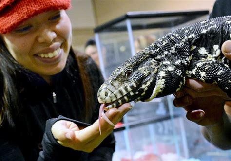 Pet events: Reptile expo, cat crawl, dog festival and more pet events | Pittsburgh Post-Gazette