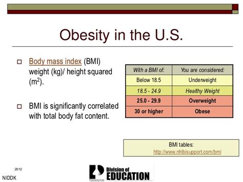 30 Bmi Diet - Travellin