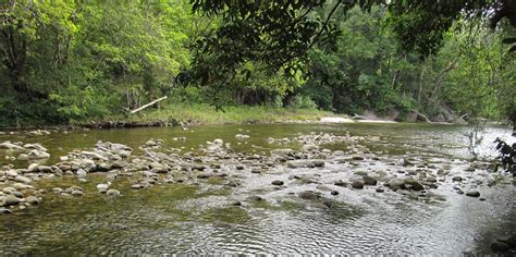 I've arrived at Babinda Creek, in search of the Babinda Boulders. So ...