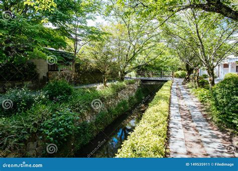 Philosopher`s Walk in Kyoto Japan Stock Image - Image of famous, historical: 149535911