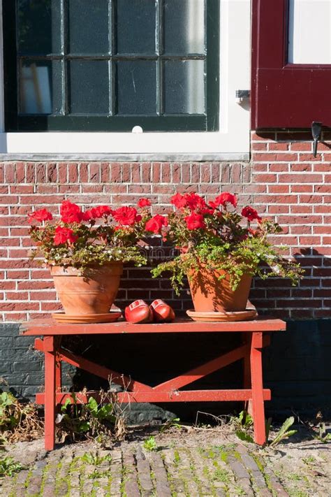 Dutch flowers & clogs stock photo. Image of zaanse - 16657934