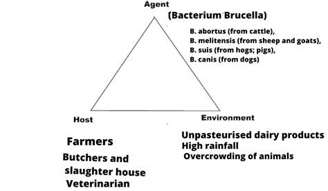 Brucellosis - Symptoms, Diagnosis, Transmission, Treatment