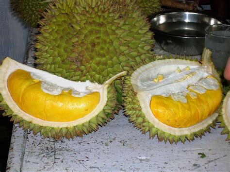 Stinkiest Fruit - The Durian