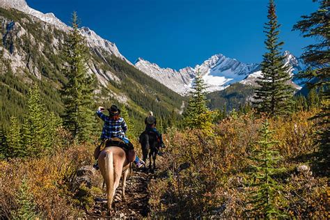 BANFF TRAIL RIDERS | Melissa's Road Race