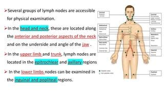 Lymph nodes examination | PPT