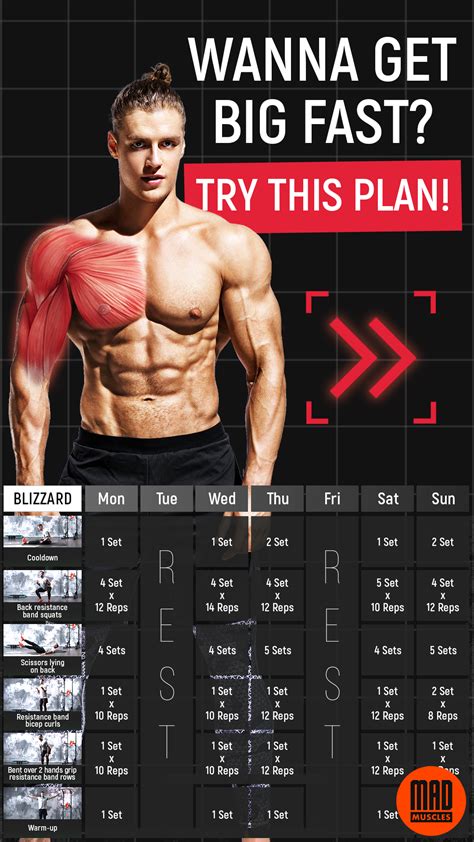 Muscle building workout plan for men. Get yours!