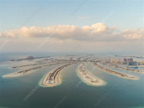 Aerial view of The Palm Jumeirah, Dubai, UAE - Stock Image - F038/9696 - Science Photo Library