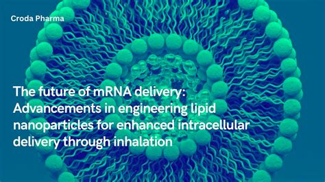 The future of mRNA delivery: Advancements in engineering lipid nanoparticles for enhanced ...