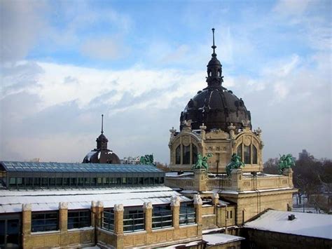 Szechenyi Palmahaz (Szechenyi Palm House) (Budapest) - 2020 All You Need to Know Before You Go ...