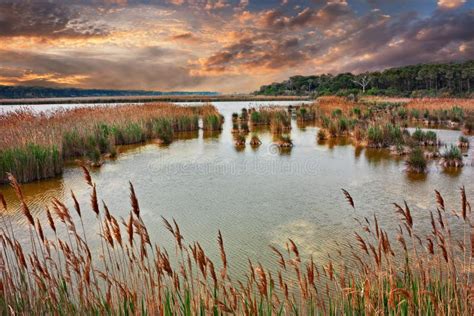 Ravenna, Emilia-Romagna, Italy: Landscape at Sunset of the Swamp in the Nature Reserve Po Delta ...