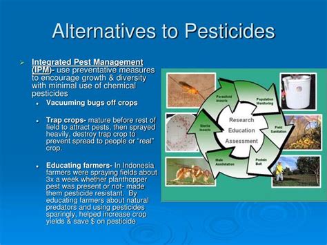 PPT - Pest Control PowerPoint Presentation - ID:2396407